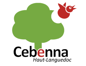 Cebenna